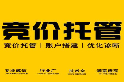 sem竞价代运营的转化率提升技巧及实际案例